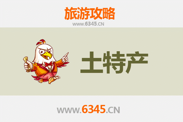 琼海嘉积镇旅游必带土特产推荐